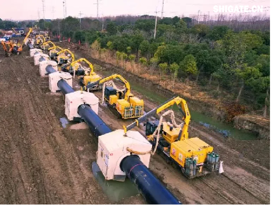 我國重要的能源大通道——中俄東線天然氣管道工程于2024年11月18日全線完工。在該項目的建設(shè)過程中，舞鋼公司供應的X80（D1422毫米×57毫米）管線鋼，是目前國內(nèi)應用在工程項目上厚度、管徑、技術(shù)難度均實現(xiàn)突破的管線鋼。生產(chǎn)該類管線鋼，不僅厚度規(guī)格以前從來沒有嘗試過，而且技術(shù)條件中的沖擊試驗溫度也由零下30攝氏度降至零下45攝氏度，沖擊功值卻由70焦耳提升到135焦耳，超出國家標準95焦耳。舞鋼公司對鋼種成分及生產(chǎn)工藝進行優(yōu)化，確保了各項指標全部優(yōu)于客戶要求，實現(xiàn)大批量供貨。 