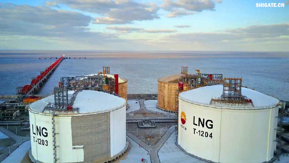 9Ni鋼又稱(chēng)06Ni9DR，是一種低溫壓力容器鋼板，主要用于低溫儲(chǔ)罐，LNG船舶及儲(chǔ)罐等低溫設(shè)備的制造。液化天然氣（LNG）動(dòng)力汽車(chē)運(yùn)輸船——7500車(chē)位汽車(chē)滾裝船由上海船舶研究設(shè)計(jì)院研發(fā)設(shè)計(jì)，是為德國(guó)大眾汽車(chē)集團(tuán)制造的。舞鋼為其研發(fā)生產(chǎn)40毫米厚、-196℃超低溫沖擊韌性的9Ni（鎳）優(yōu)質(zhì)鋼板，實(shí)現(xiàn)替代進(jìn)口。